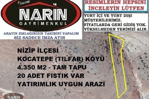 Nizip KOCATEPE TILFAR Köyünde 20 Adet Fıstık Ağaçlı Yüksek Arazi
