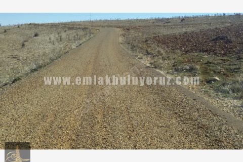 çiftlik yapmaya musait asvalt üstü tarla