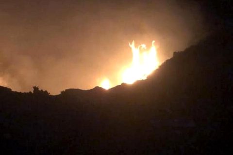 Nizipte Fıstık Tarlasında Yangın