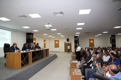 Vali Gül Nizipte