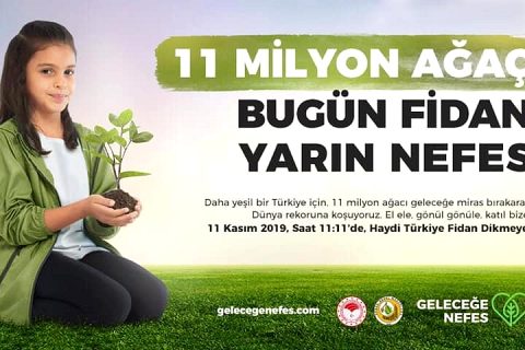 Fidan seferberliği