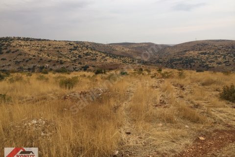 Nizip yeniyazi da satlik 52 dönüm tarla