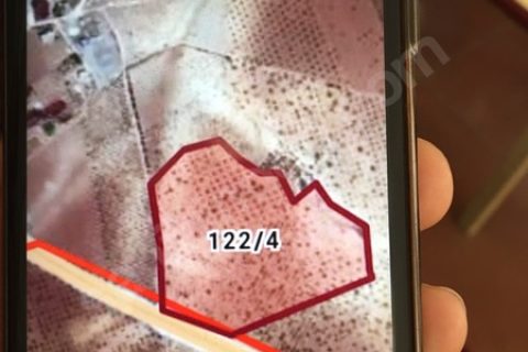 Doğu gayrimenkulden mercanlida 80 dönüm satilik fistik