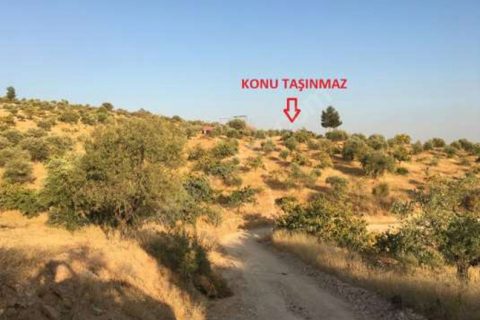 Şirketten Satılık -Satışa Hazır- Sorunsuz Fıstıklık