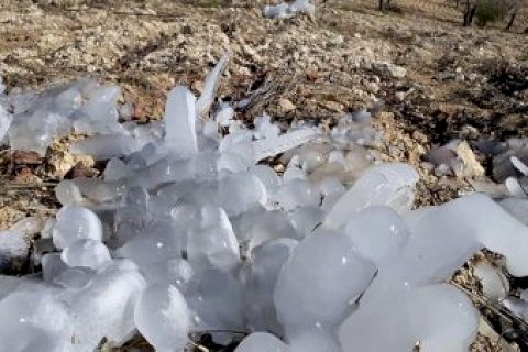 Nizip’te *don hayati olumsuz etkiledi*