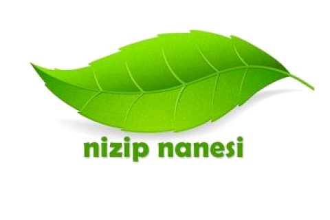 Başkan ibrahim sari, nizip nanesi’nin tescillendiğini açikladi