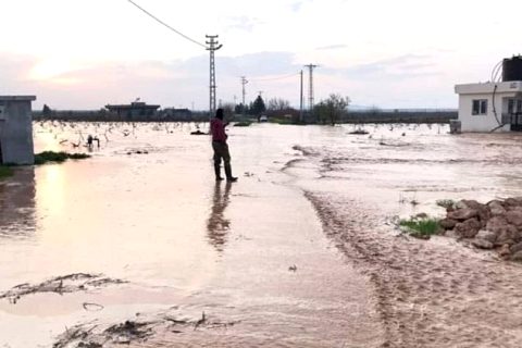 Nizip ve Karkamış’ta sel tarımı etkiledi