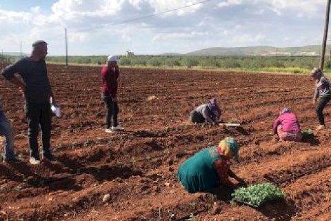 Nizip'te vatandaşlar sokağa çıkma yasağına uydu