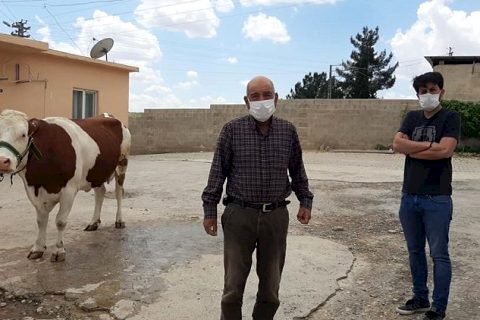 Nizip’li çiftçi 'Biz bize yeteriz' kampanyasına ineğini bağışladı