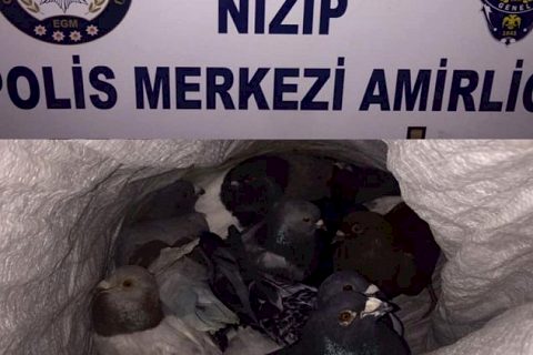 Bekçiler Hırsızlık Şüphelilerini Affetmedi