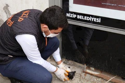 Durağa sıkışan kediyi belediye ekipleri kurtardı