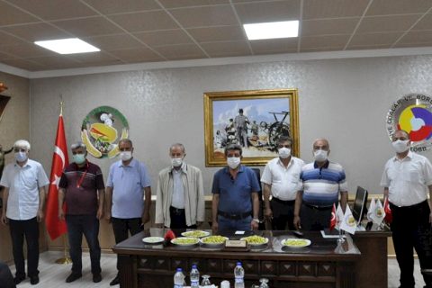 Nizip’te ilk mahsul boz fistiği altinla ödüllendirildi