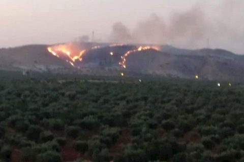 Zergil Dağı'ndaki orman yangını söndürüldü