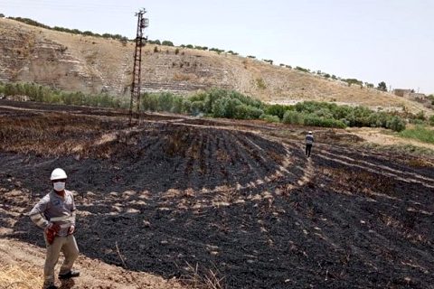 Nizip'te Buğday Tarlası Yandı