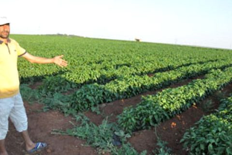 Çiftçinin "Elim Ayağım" Dediği Makinesini Çaldılar