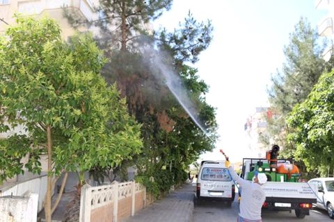Nizip Belediyesi haşere ve sineklere karşı ilaçlama çalışması yapıyor