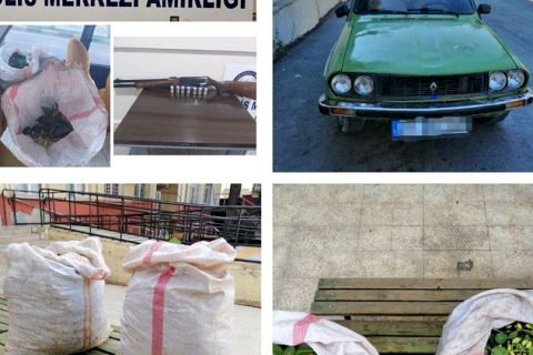 Nizip’te Fıstık hırsızlığı şüphelileri yakalandı