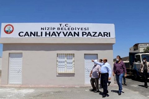 Başkan Sarı, Hayvan Pazarında incelemelerde bulundu
