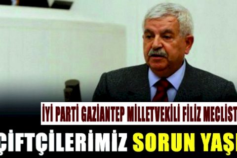İYİ Parti Gaziantep Millet Vekili Filiz Mecliste Konuştu "Çiftçilerimiz Sorun Yaşıyor