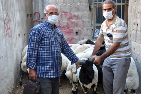 Nizip'te kurbanlık satışları başladı
