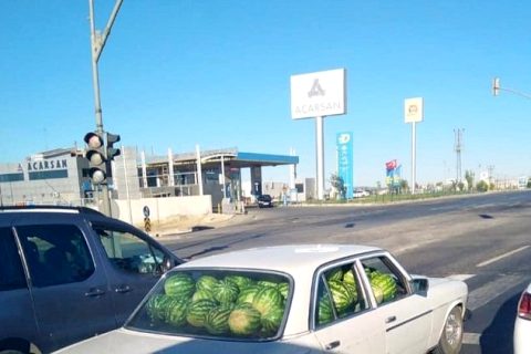Görenleri Hayrete Düşürdü