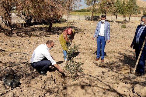Öğrenciler okullarıyla fidanlar ise toprakla buluştu*