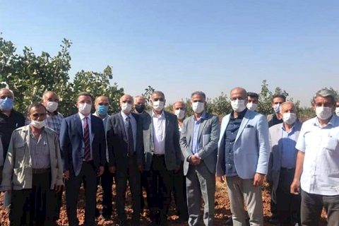 Uygulamalı Çiftçi Okulları toplantısı Nizip'te yapıldı