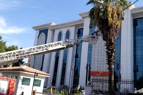 Yuvasından düşen kuşu itfaiye kurtardı  