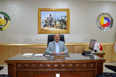 Nizip’te zeytin hasadi başladi
