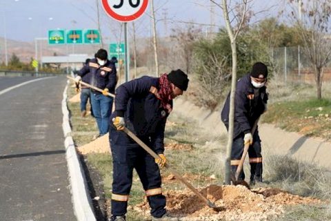 Nizip’te ağaçlandırma çalışmaları