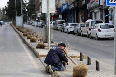 Başkan Sarı ağaçlandırma çalışmasına katıldı