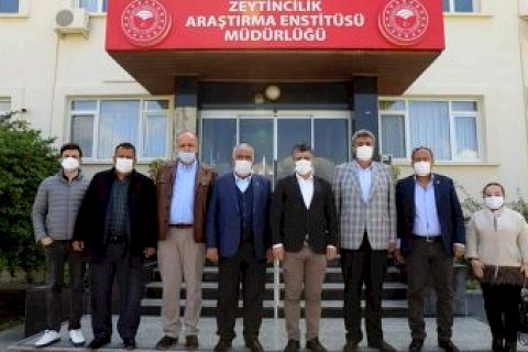 NTO Meclis Başkanı Karabacak Zeytincilik İnceleme Gezisine Katıldı