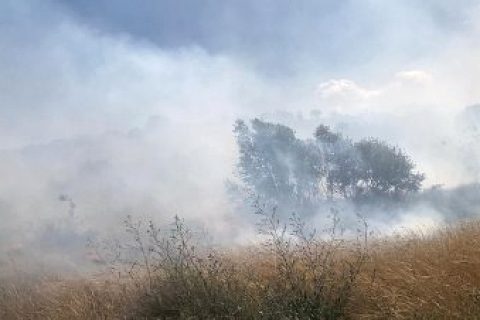 Nizip'te orman yangını