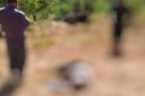 Tarla sürerken traktörün altıda kalan çiftçi hayatını kaybetti