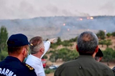 Vali Gül, yangın bölgesinde inceleme yaptı 