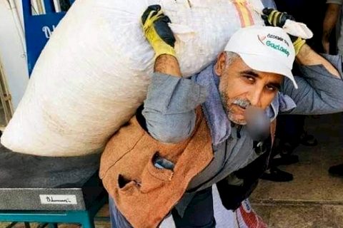 Hayatın yükünü sırtında taşıyor 