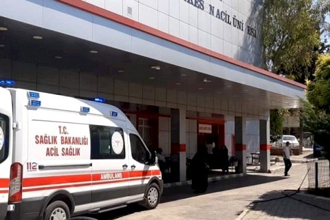 Nizip'te İnek hastanelik etti!