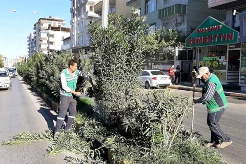 Başkan Sarı, tehlikeyi gördü anında talimat verdi
