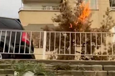 Elektrik telleri ağacı yaktı
