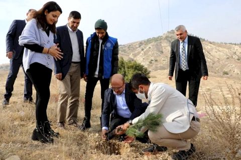 Başkan Sarı, Üniversite öğrencileriyle fidan dikti