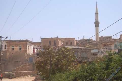 adaklı köyü __9575__