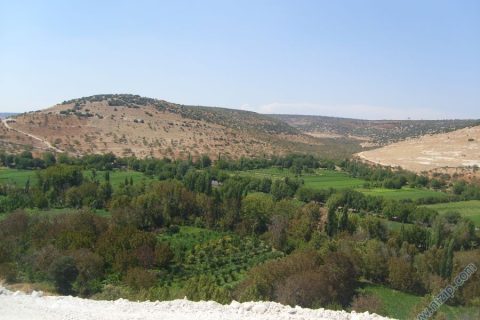 adaklı köyü tarlalar __9574__