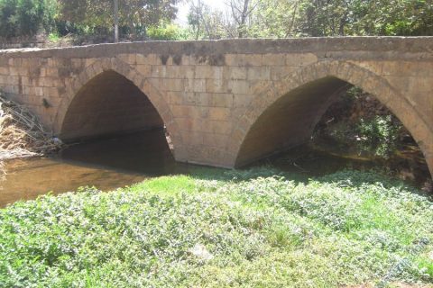 Pasa köprü __9573__