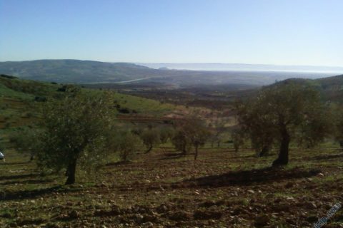 akçakent __13522__Foto