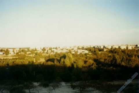 nizip __10260__Foto