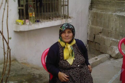 ayyuş 