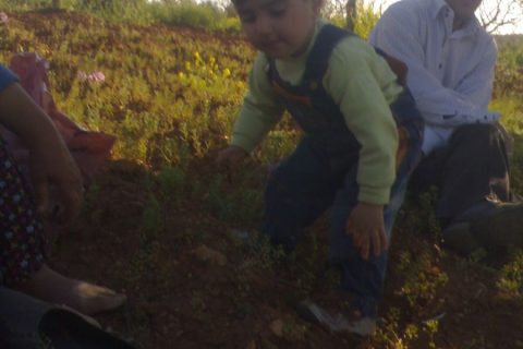 akkuyu köyü 