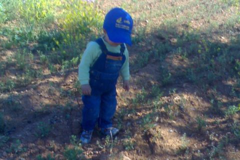 akkuyu köyü 