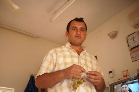 özçapan 