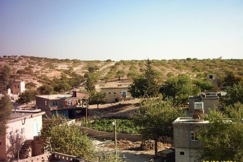 AKKUYU 